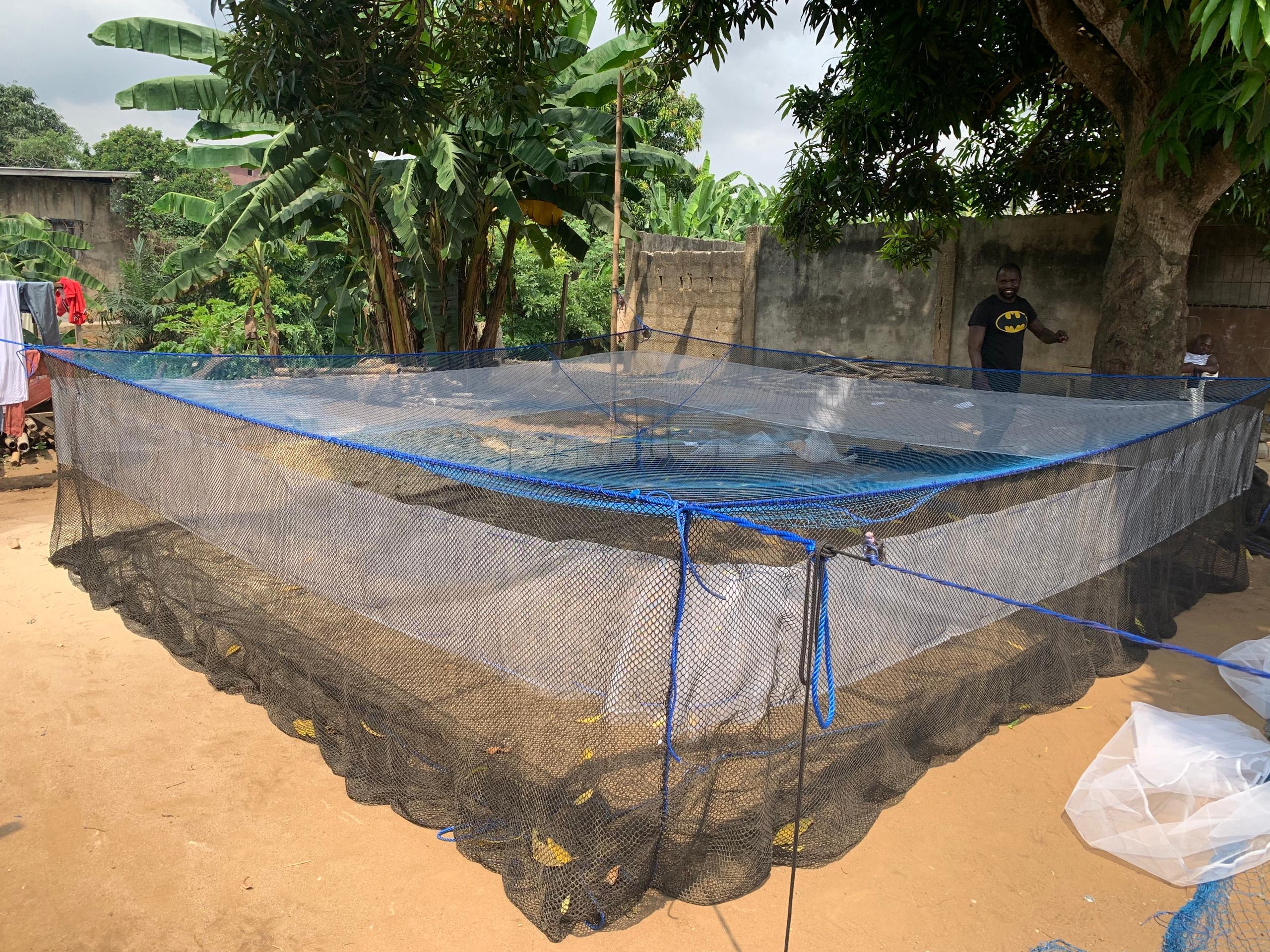 Happa monté au sol pour nurserie de poissons
