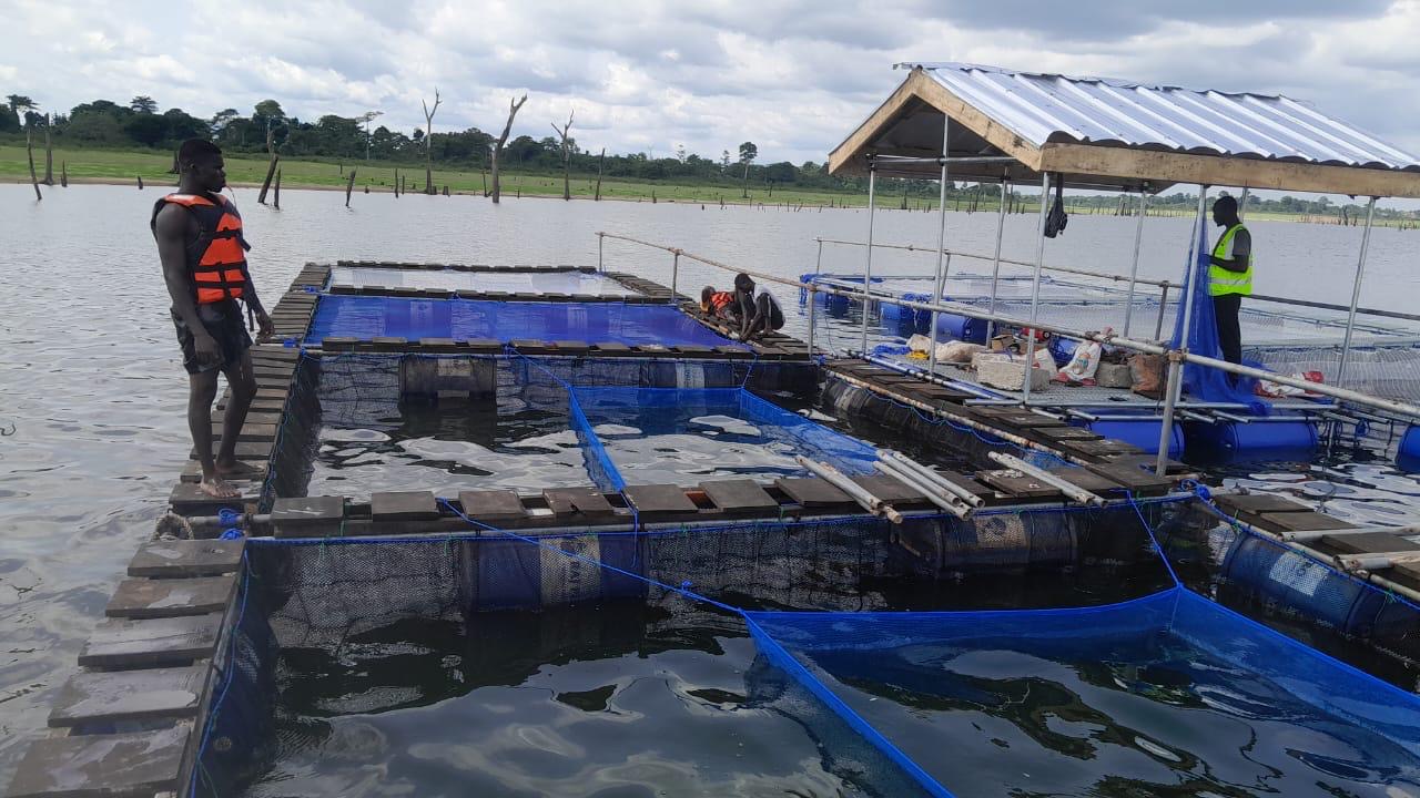Batterie de cages flottantes sur retenue d'eau