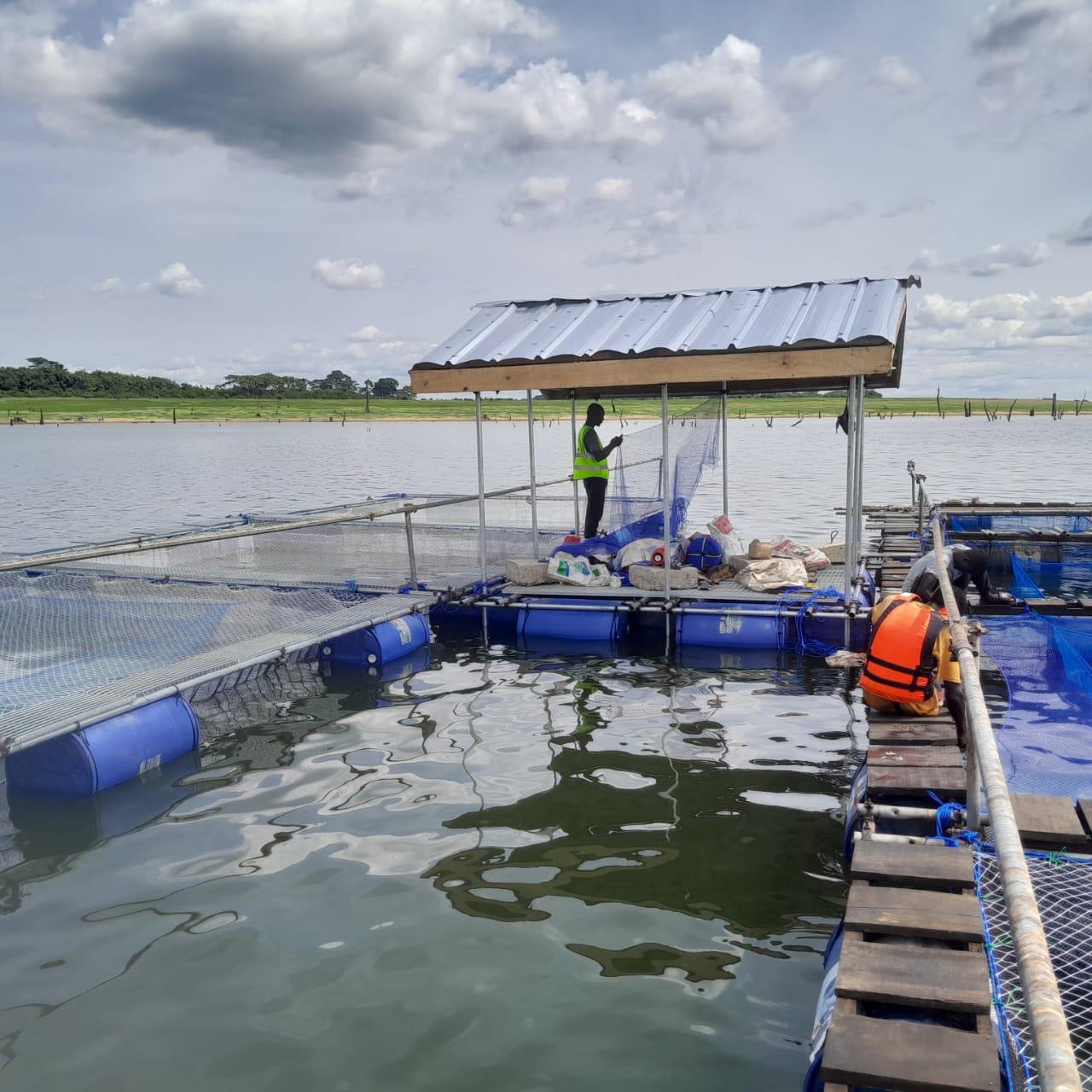 Poste de travail abrité sur cage flottante