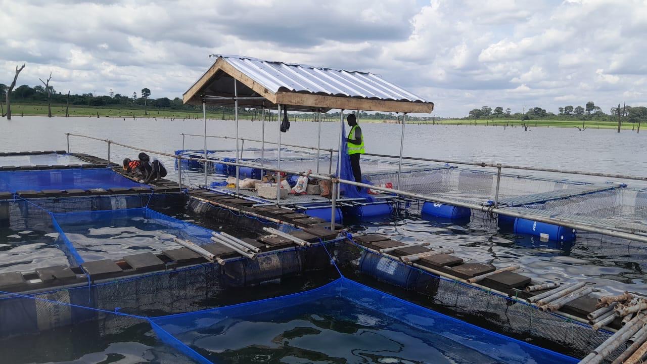 Cages flottantes avec poste de travail abrité sur plan d'eau