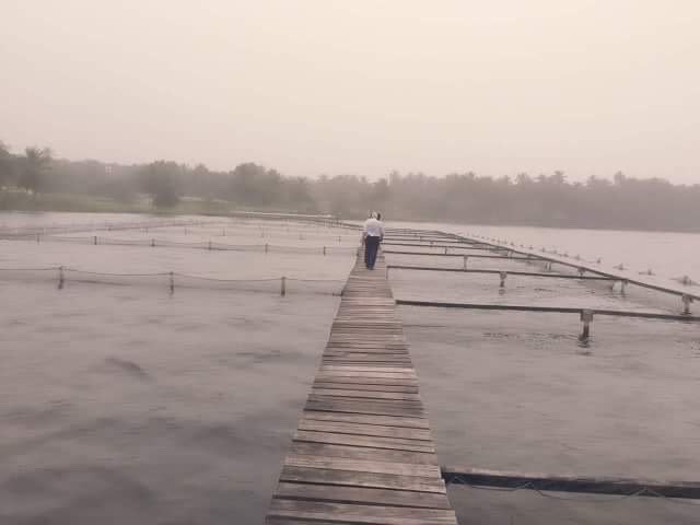Passerelle traversant un enclos piscicole